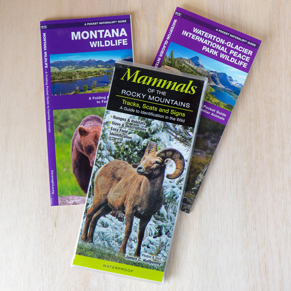 Pocket Guides