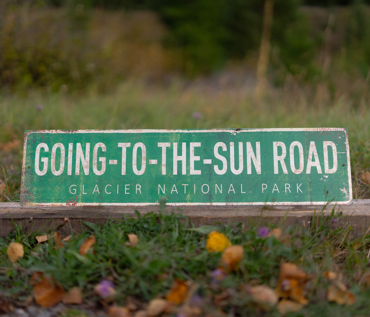 Vintage Metal Going-to-the-Sun Road Sign