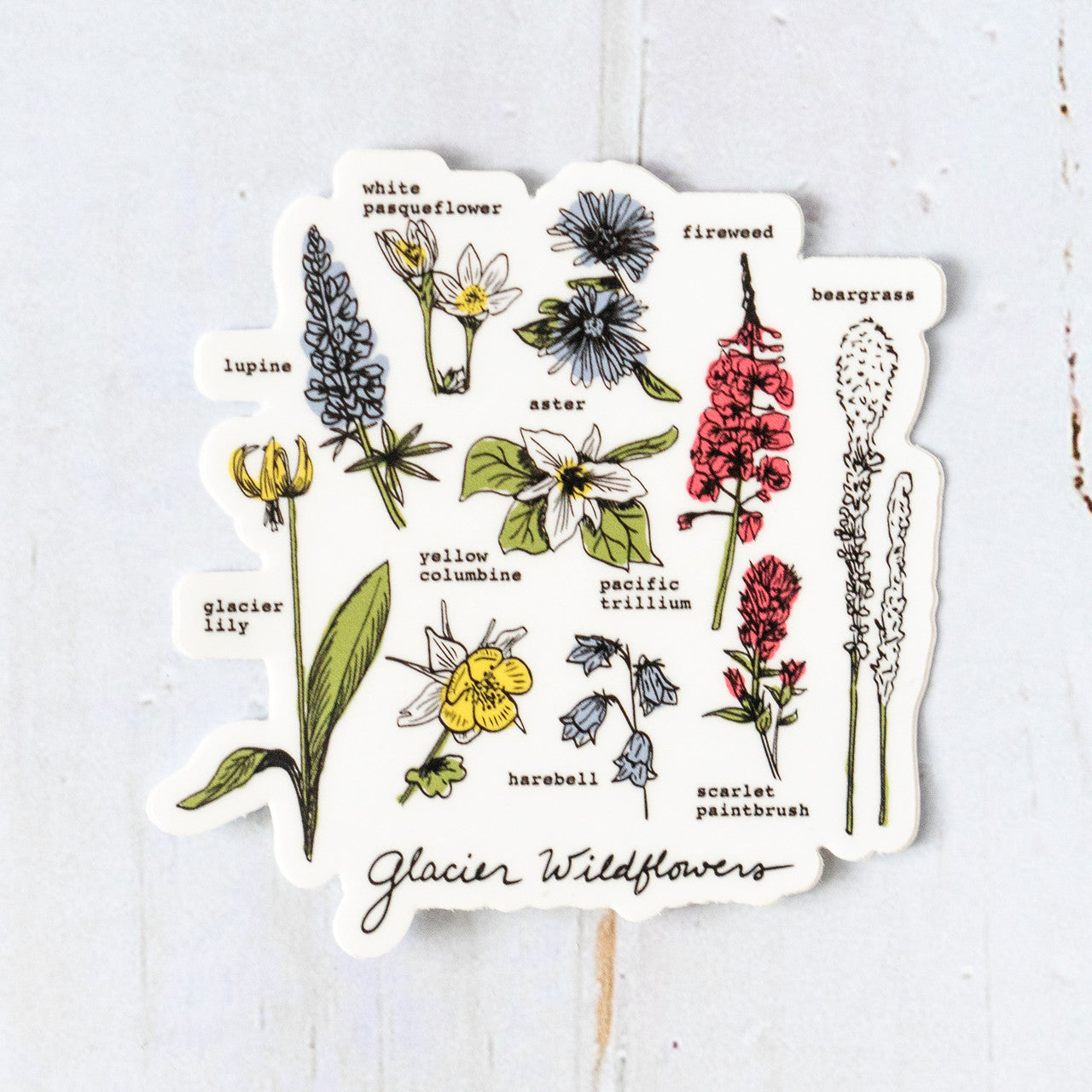 Glacier Wildflowers Sticker