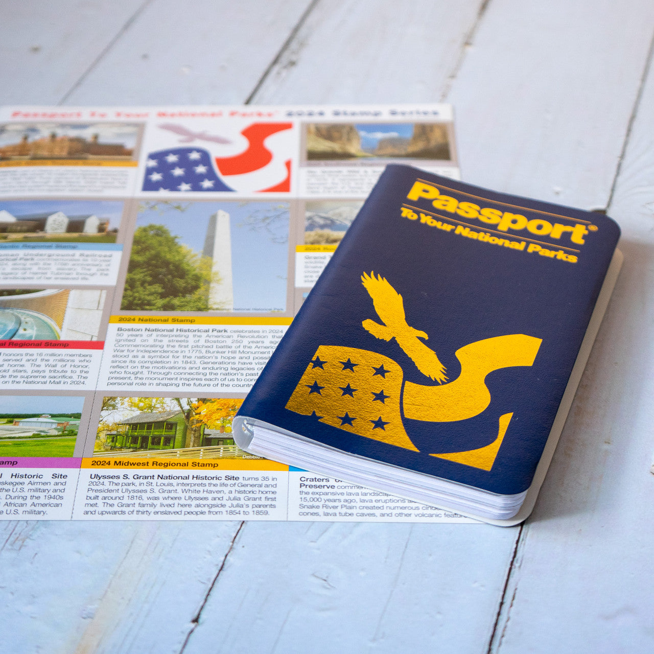 Passport Book
