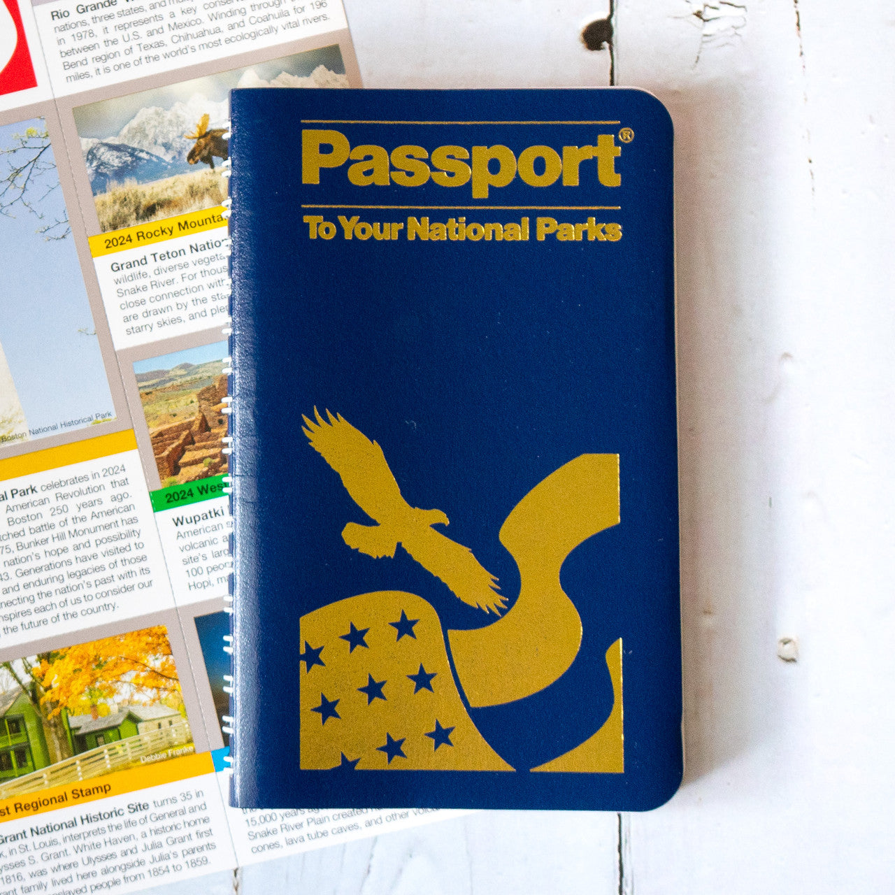 Passport Book