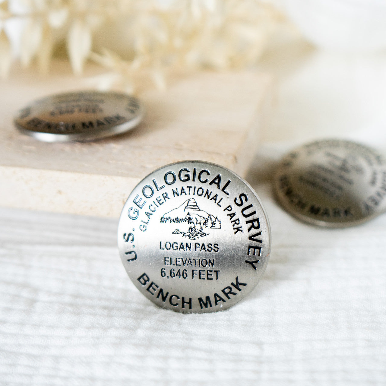 Logan Pass Benchmark Magnet