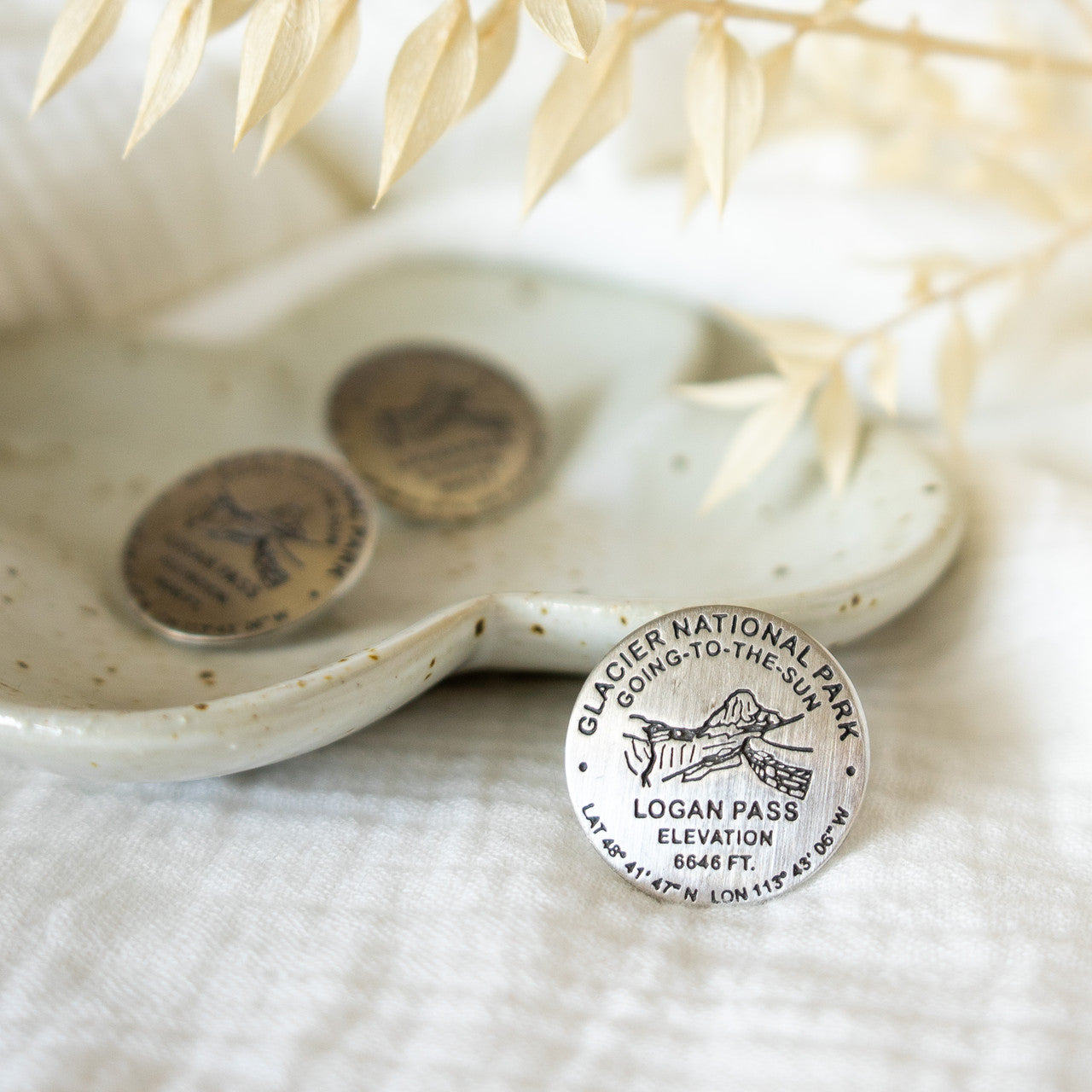 Logan Pass Benchmark Collector Pin