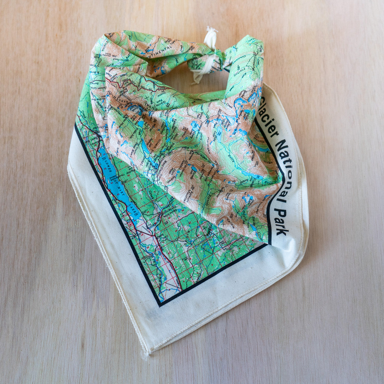 Glacier Map Bandana