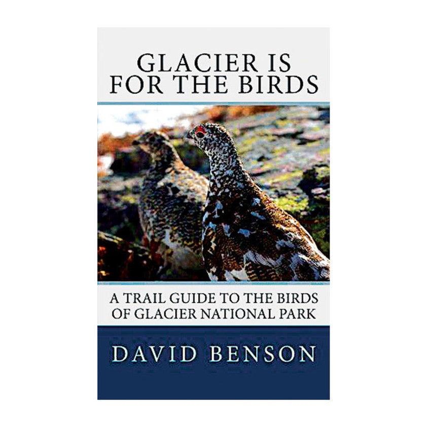 Glacier Is For The Birds