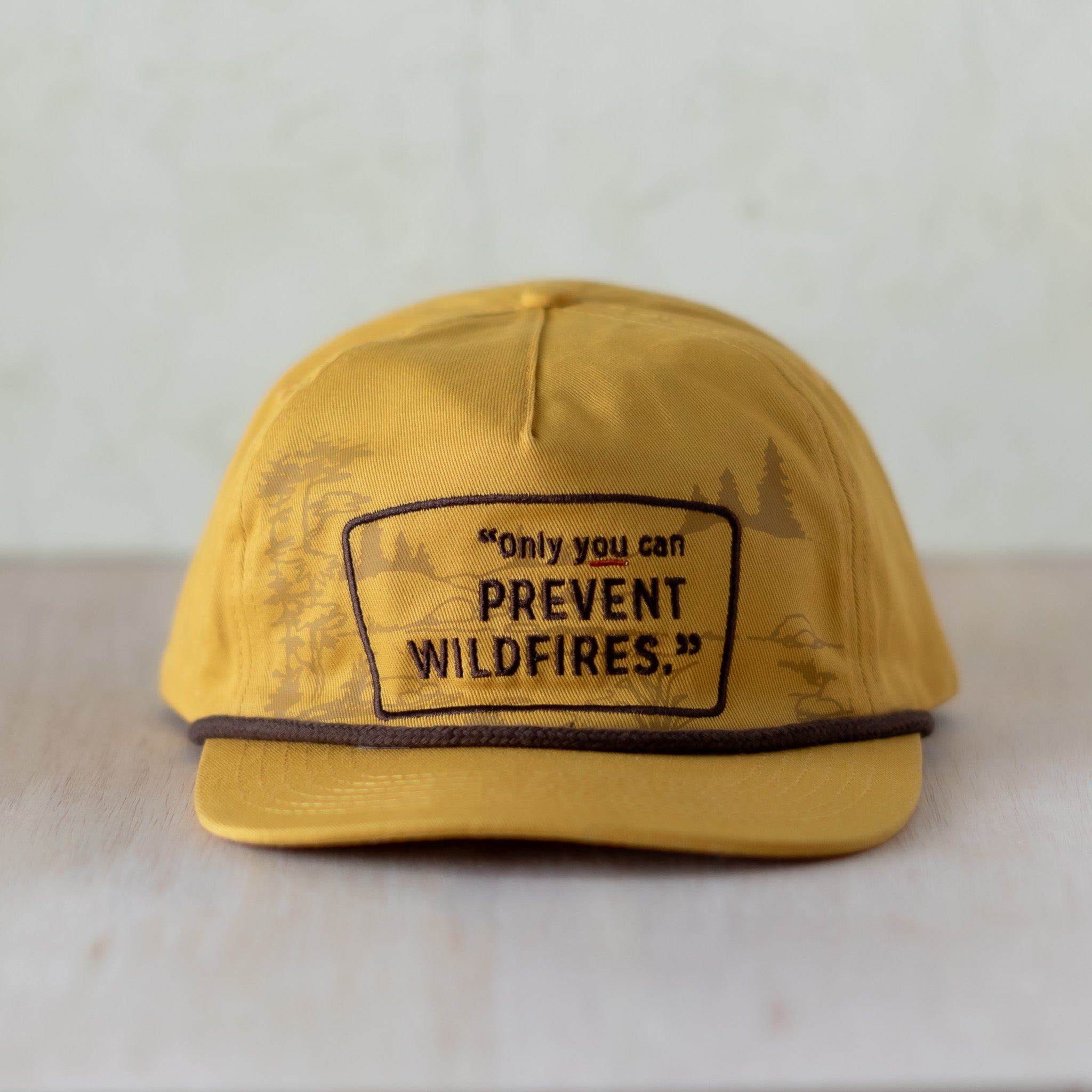 Only You Can Prevent Wildfires Hat