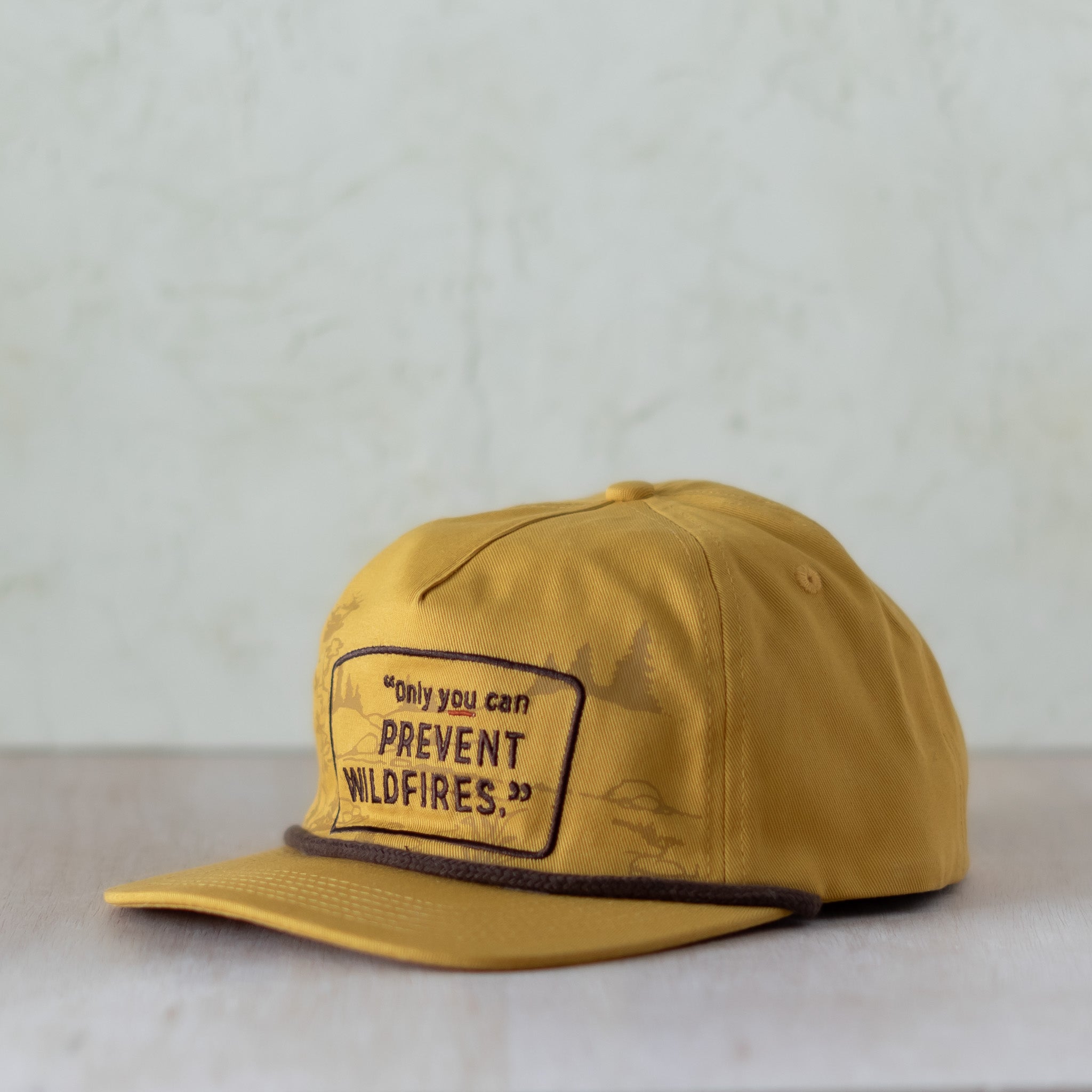 Only You Can Prevent Wildfires Hat