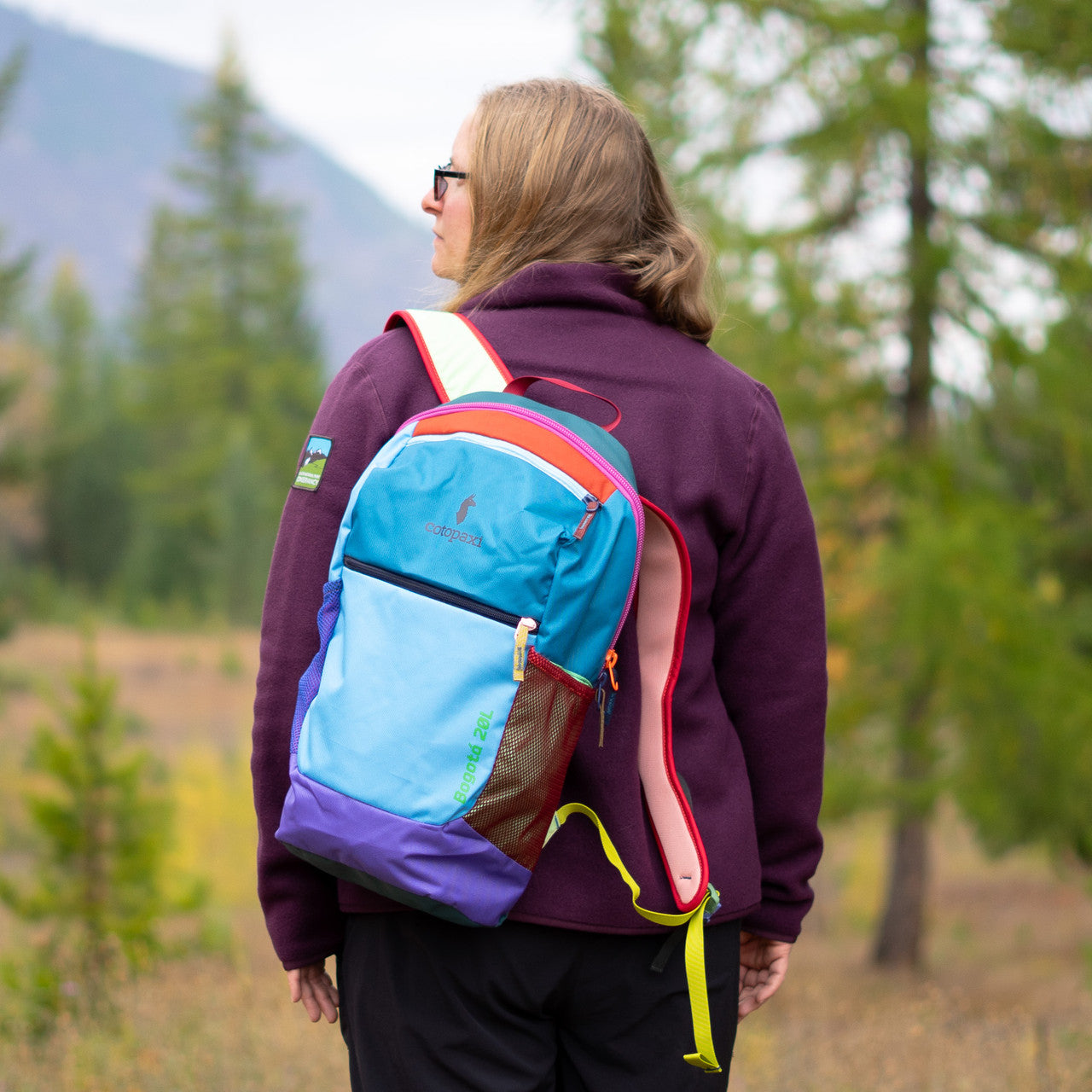 Cotopaxi Bogota 20L Del Dia Backpack – Glacier National Park