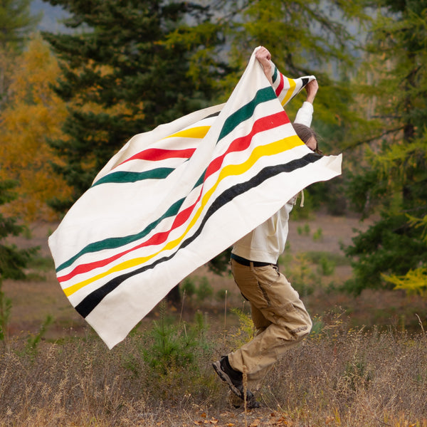 Pendleton Glacier Stripe Queen Blanket