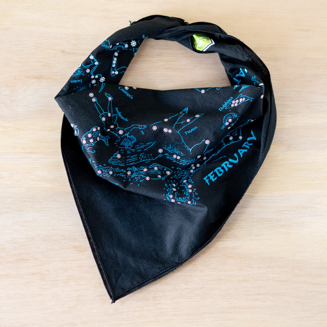 Dark Sky Bandana