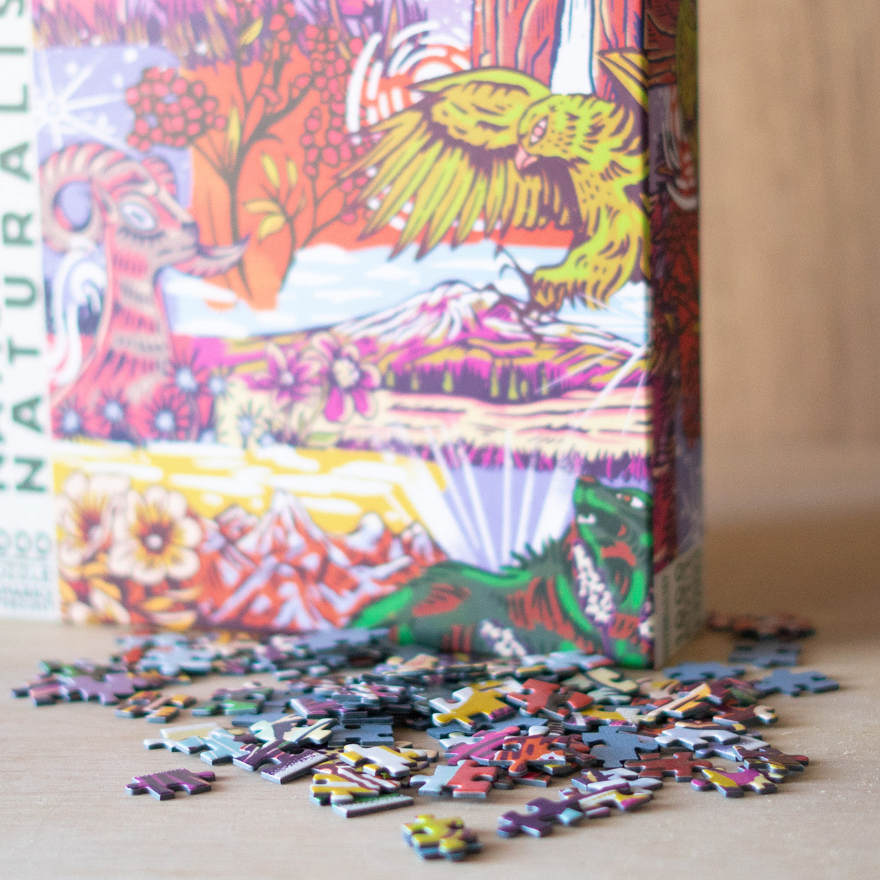 Parks Project Naturalist Puzzle