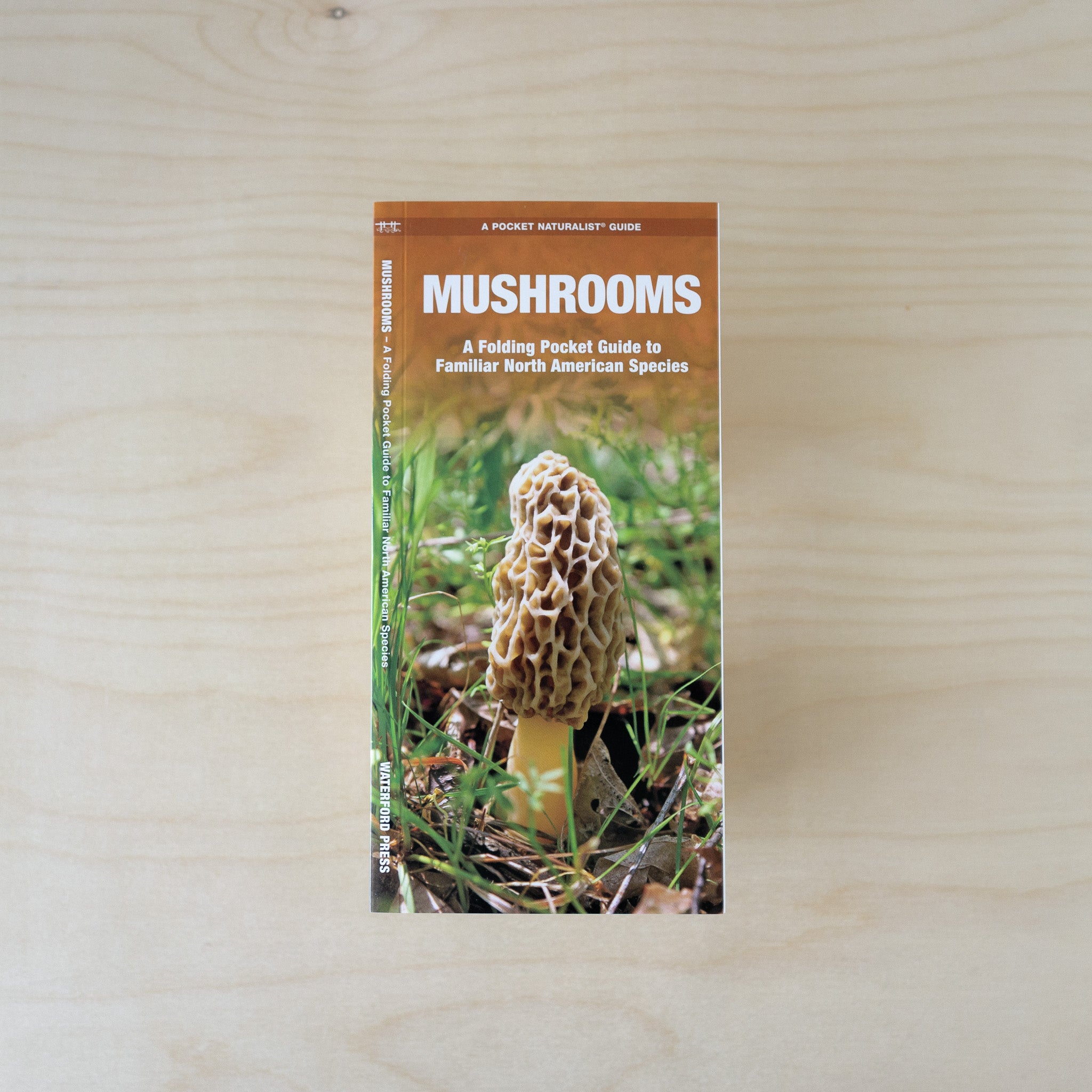 Pocket Guide: Mushrooms