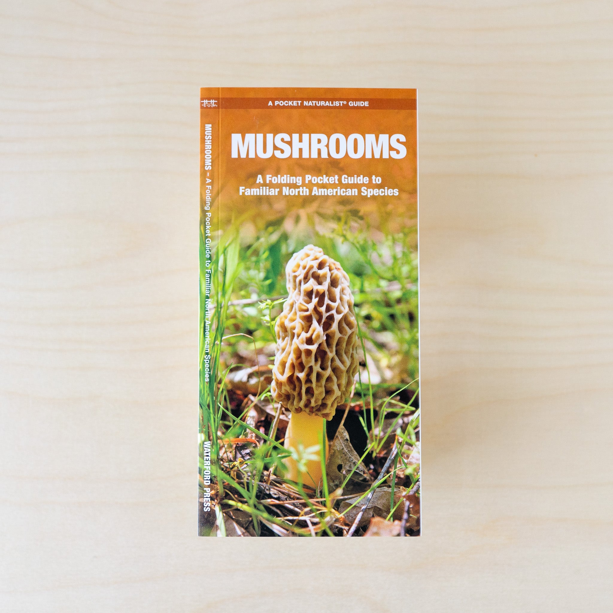 Pocket Guide: Mushrooms