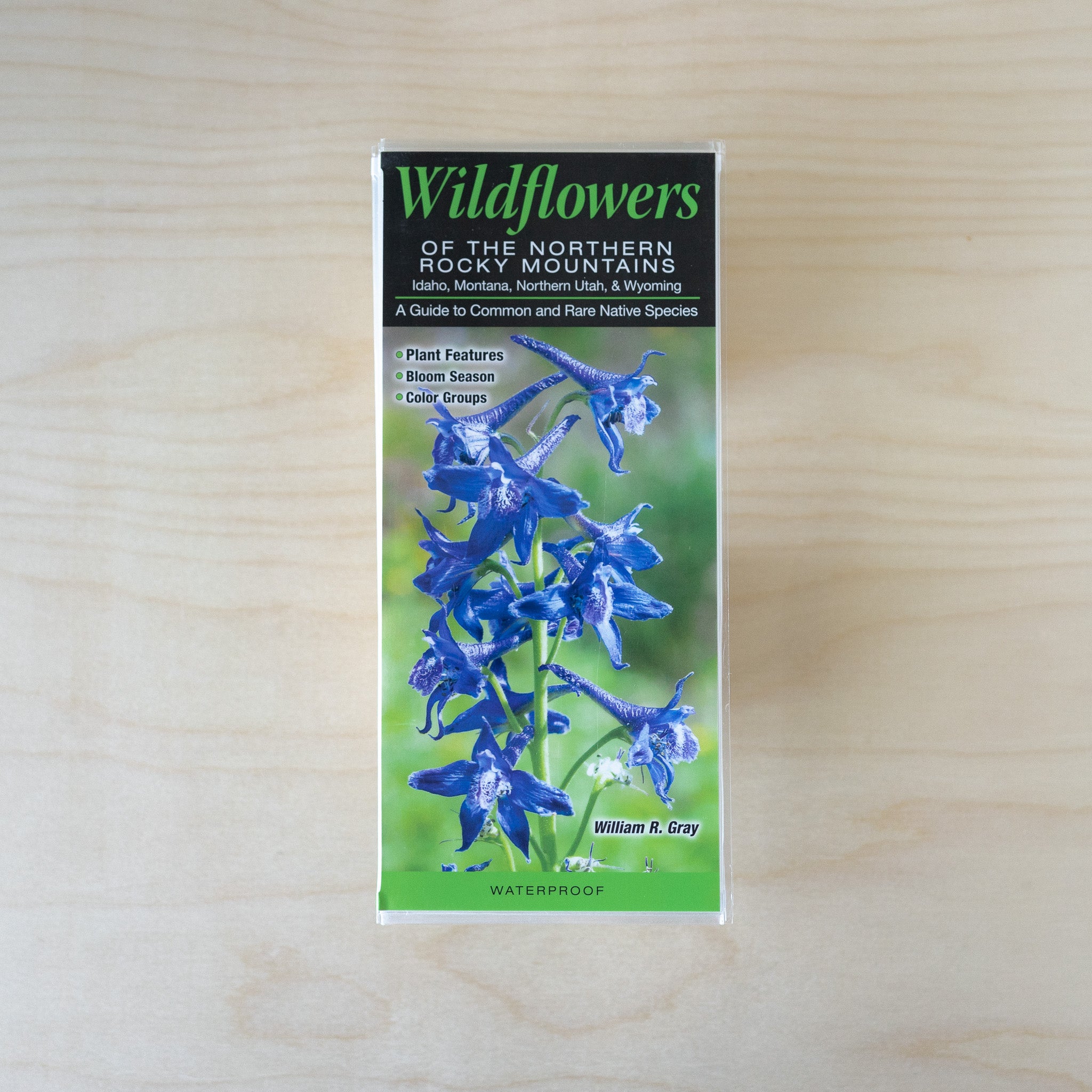 Quick Guide - Wildflowers of the Northern Rocky Mountains