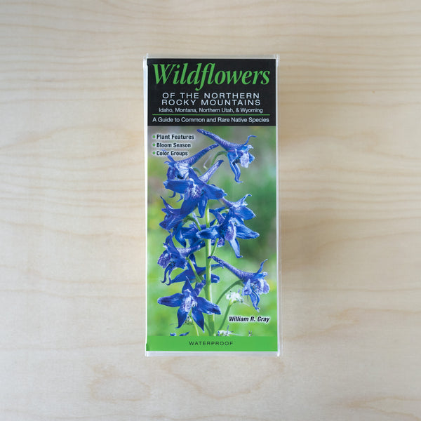 Quick Guide - Wildflowers of the Northern Rocky Mountains
