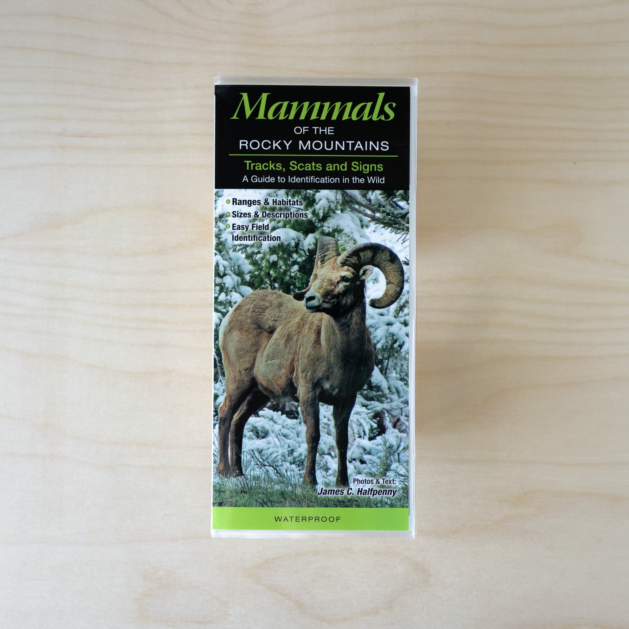 Quick Guide - Mammals of the Rocky Mountains