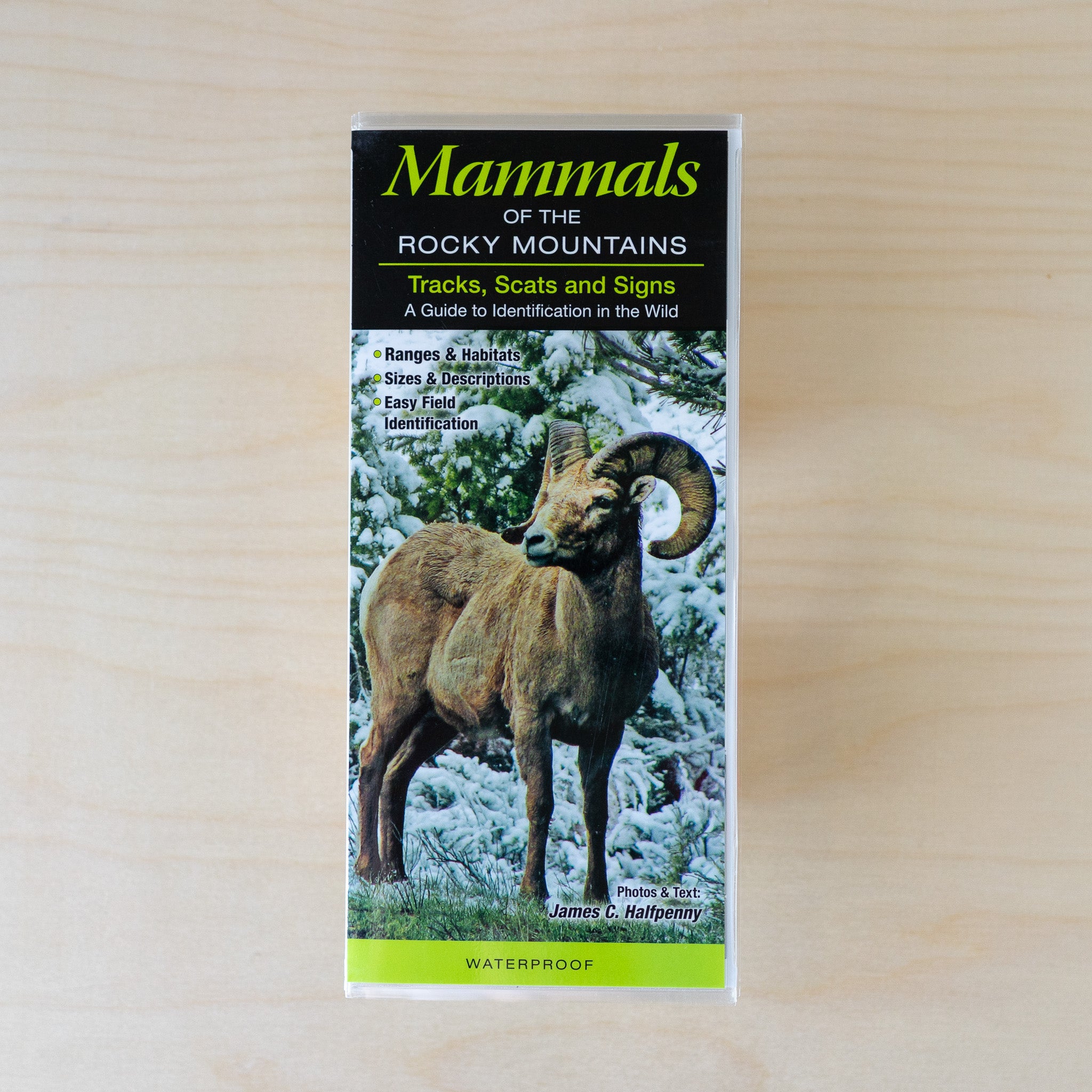 Quick Guide - Mammals of the Rocky Mountains