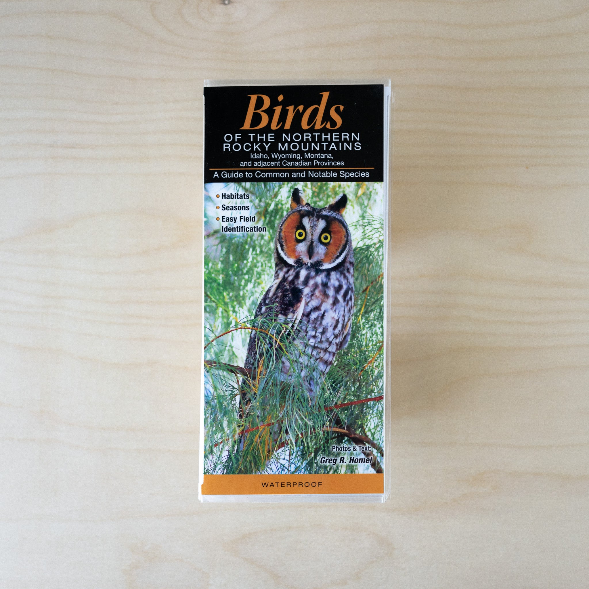 Quick Guide - Birds of the Northern Rocky Mountains