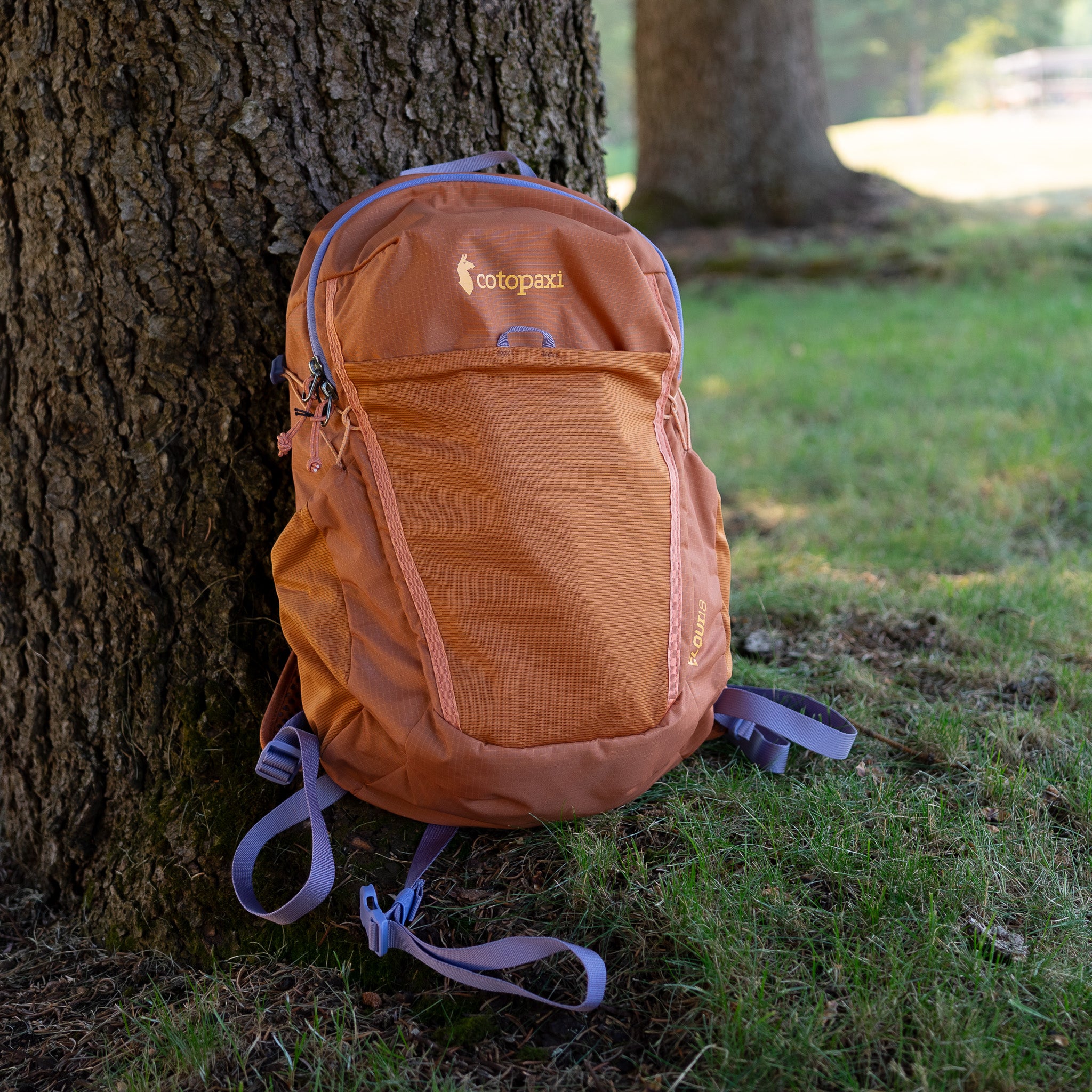 Cotopaxi Elqui 18L Backpack - Whiskey