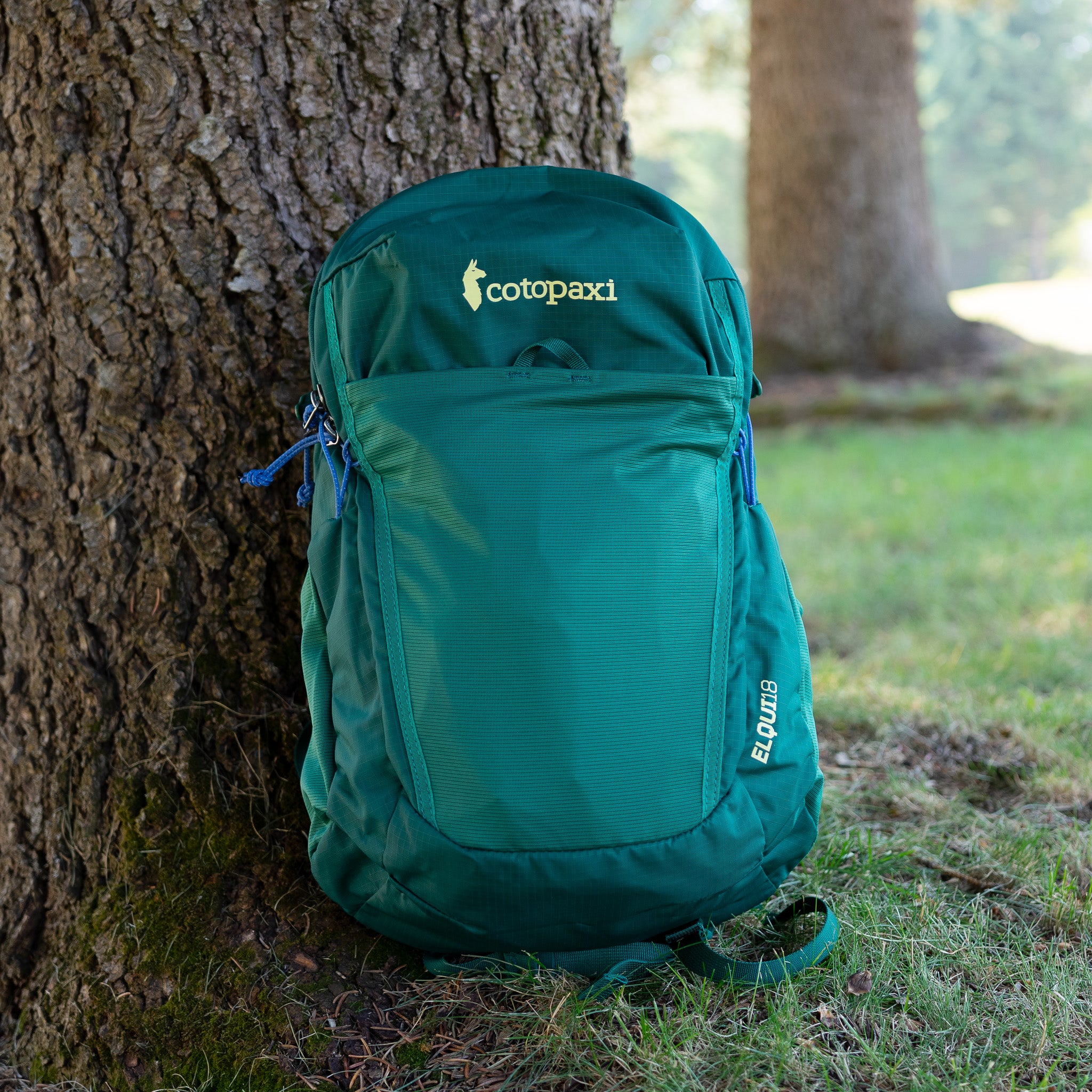 Cotopaxi Elqui 18L Backpack - Kale