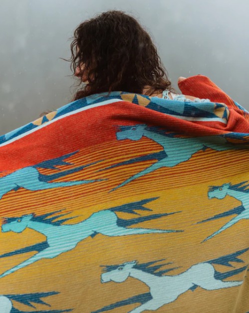 Pony Express Throw Blanket