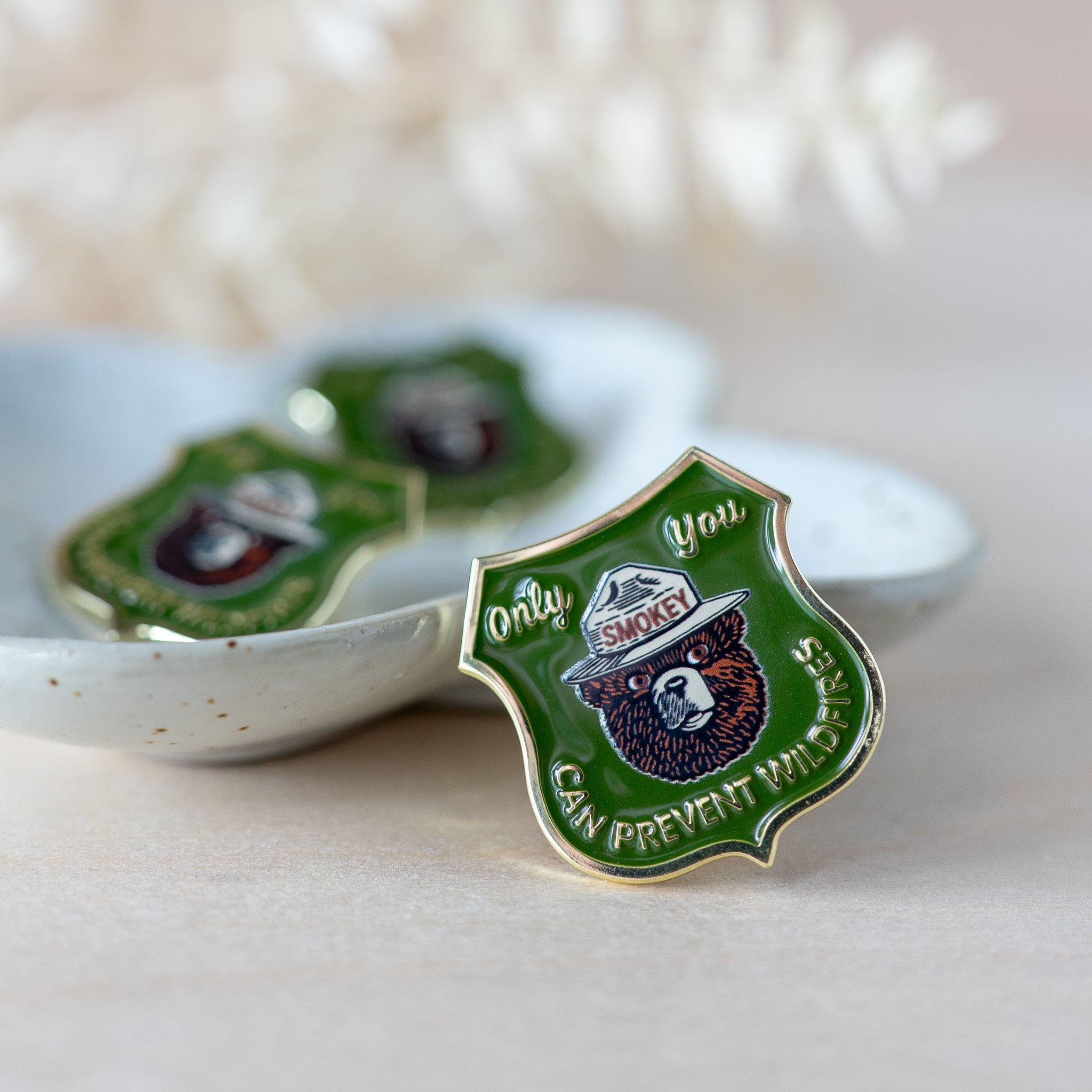 Smokey Bear Shield Pin