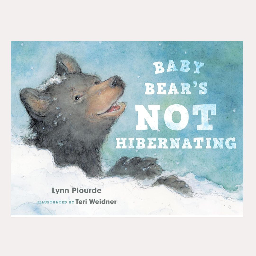 Baby Bear's Not Hibernating