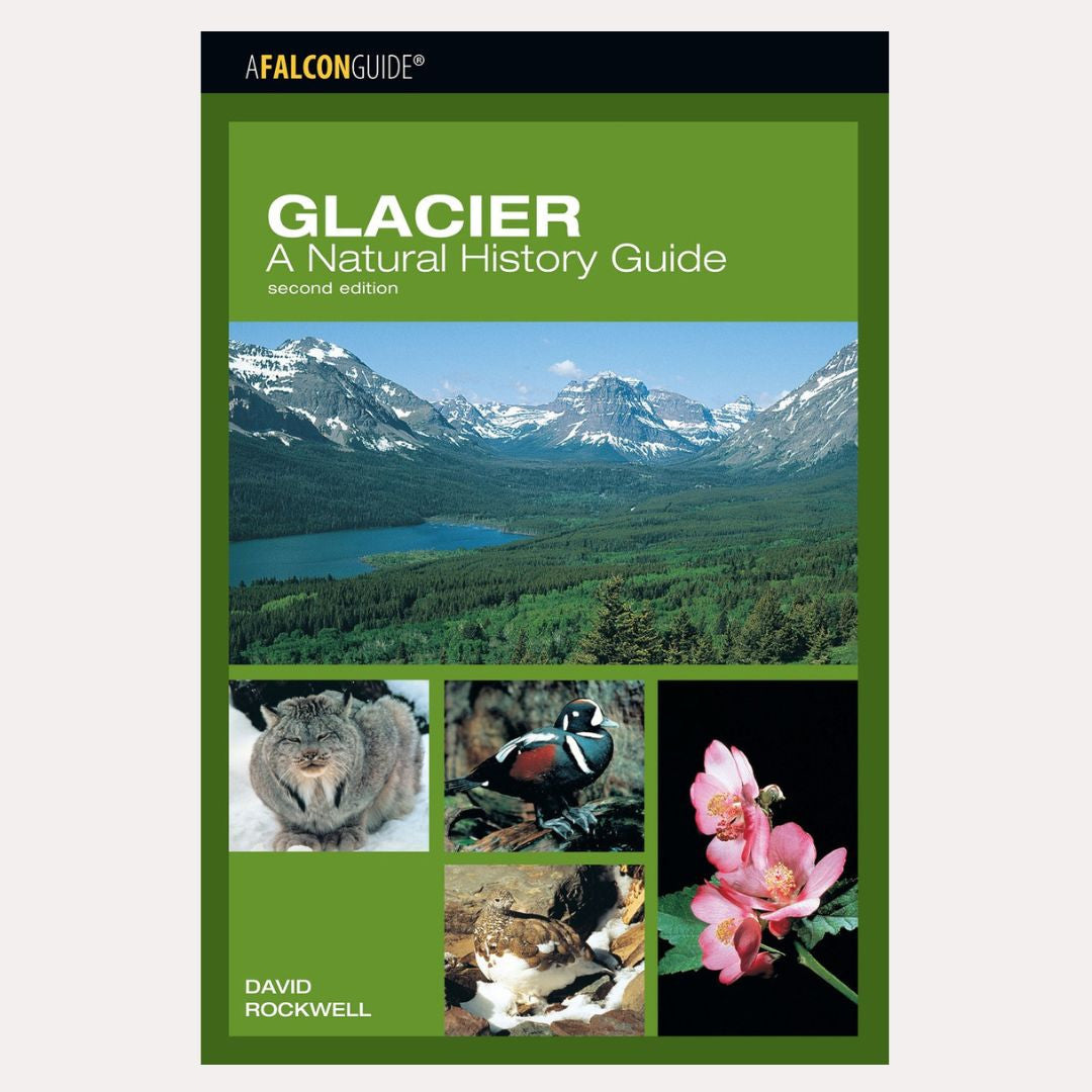 Glacier: A Natural History Guide