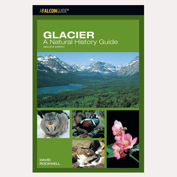 Glacier: A Natural History Guide
