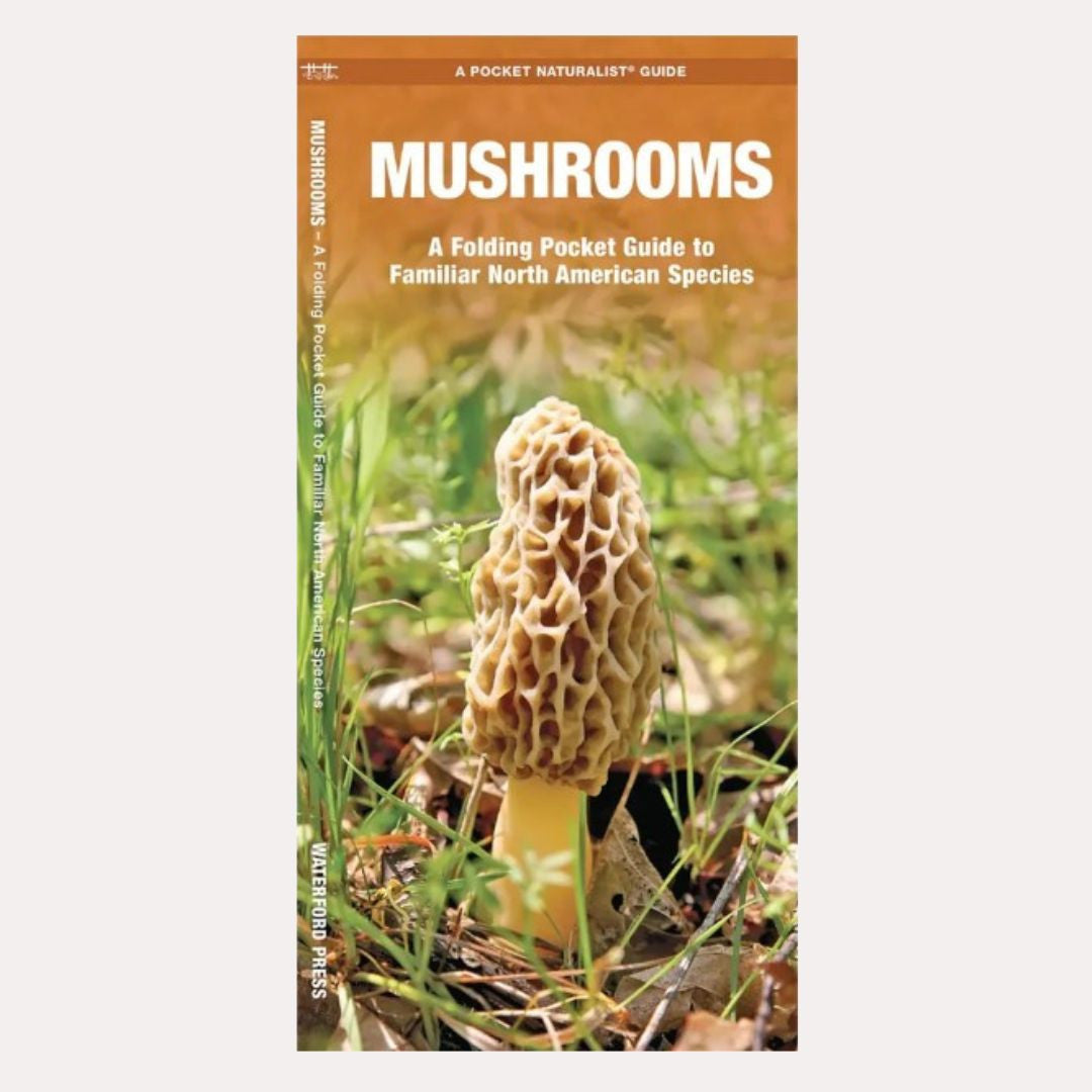 Pocket Guide: Mushrooms