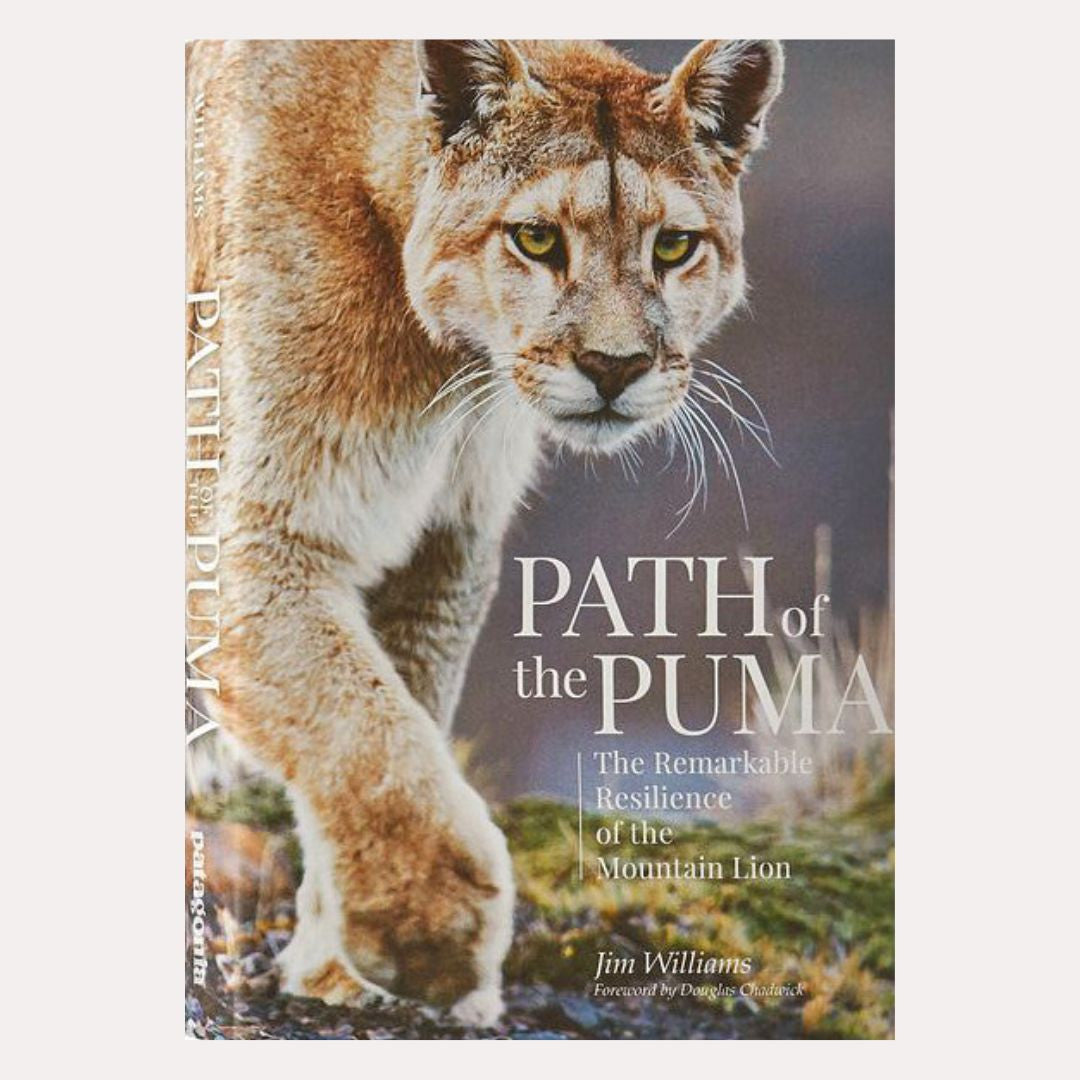 Path of the Puma