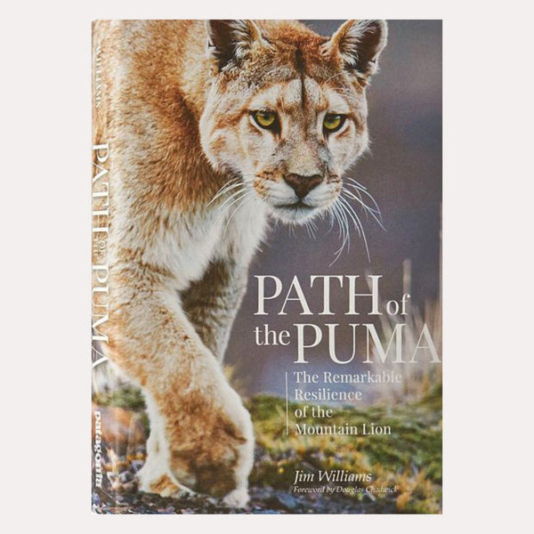 Path of the Puma