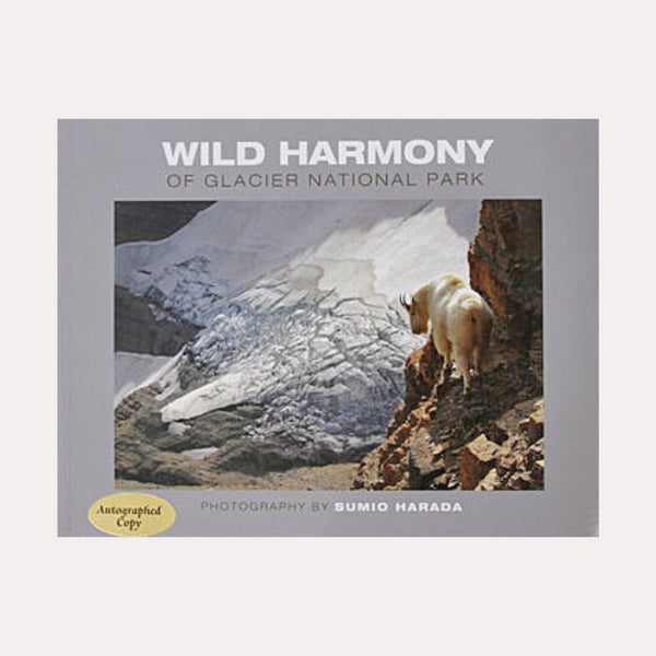Wild Harmony of Glacier National Park