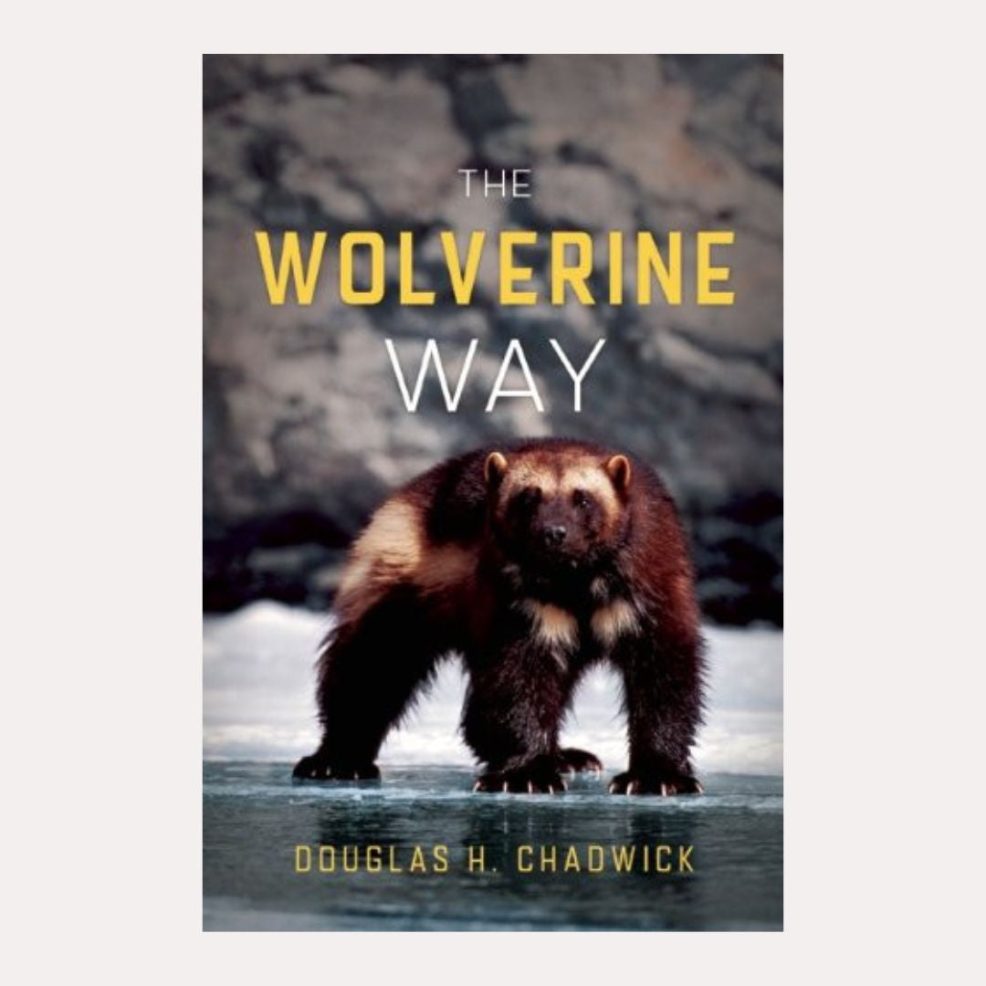 Wolverine Way