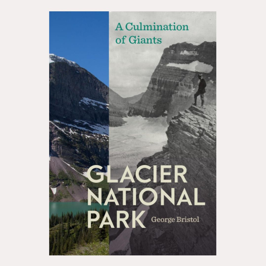 A Culmination of Giants Glacier National Park