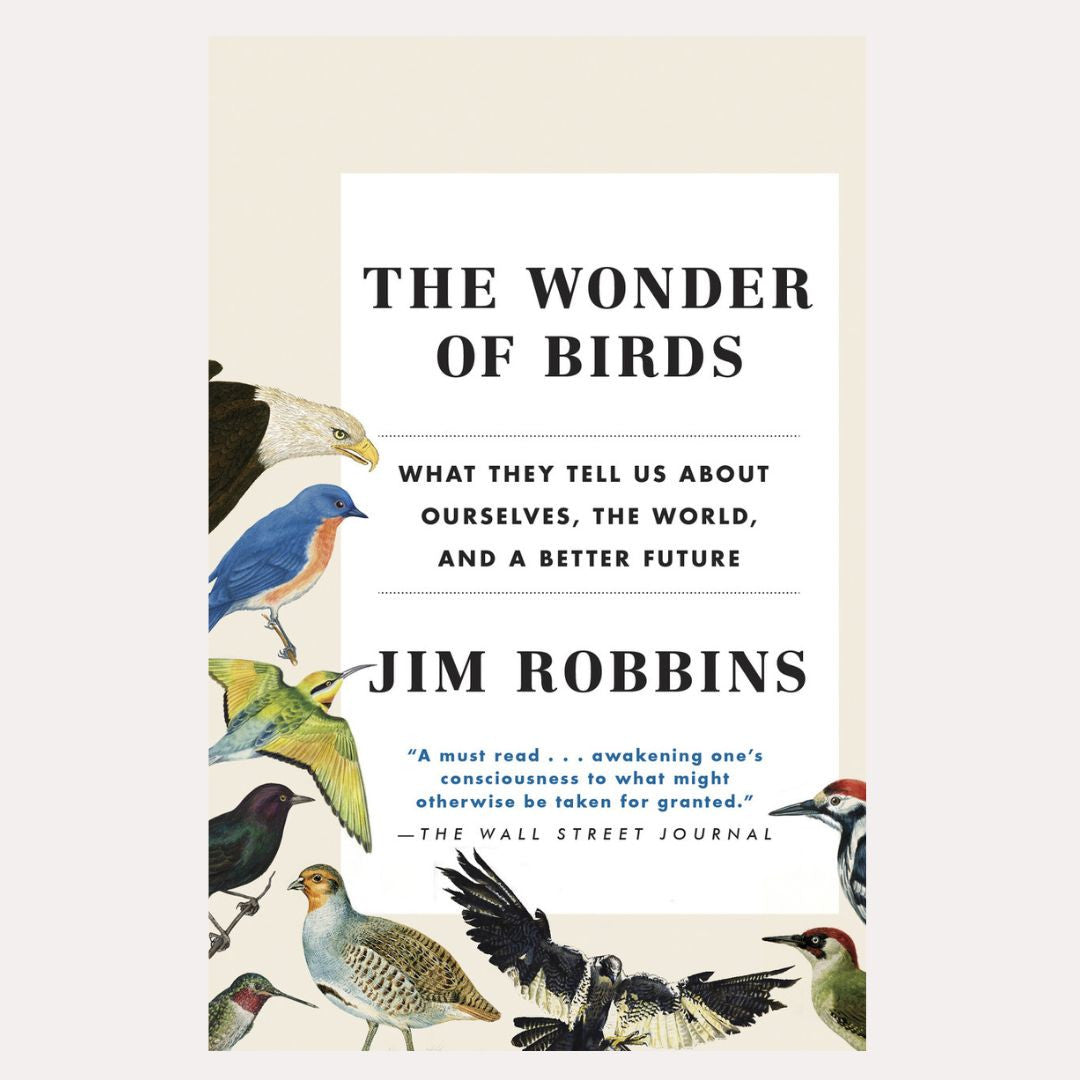 The Wonder of Birds