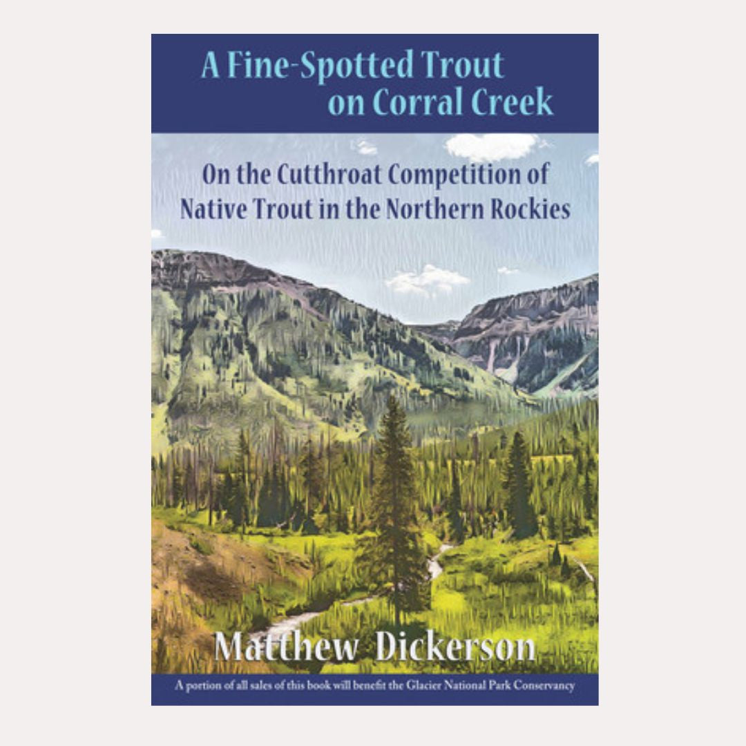 A Fine-Spotted Trout on Corral Creek
