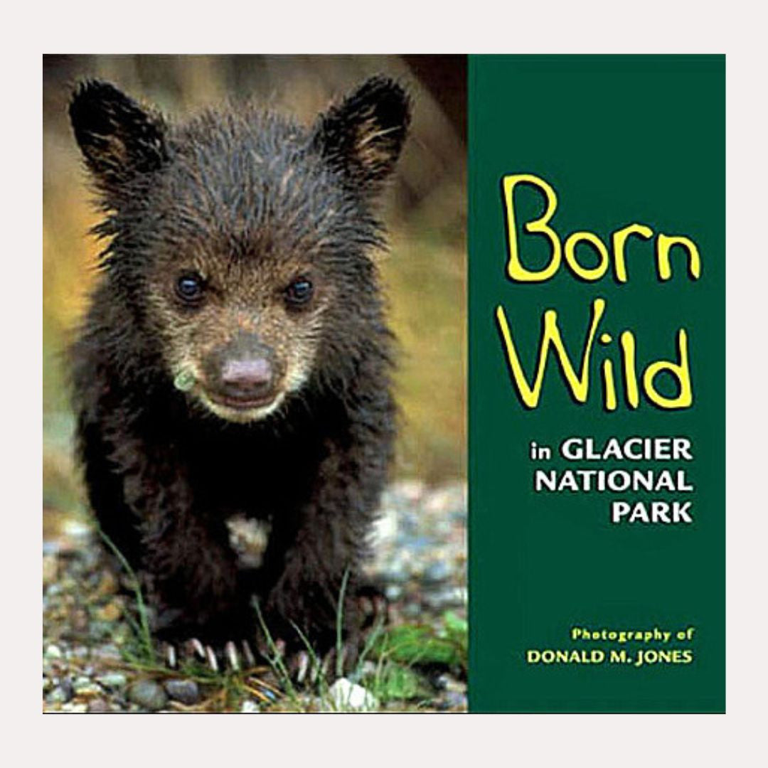 Born Wild In Glacier National Park