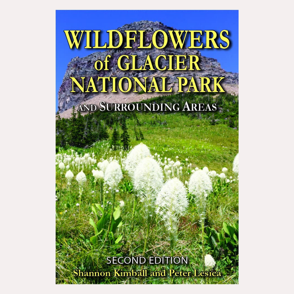 Wildflowers of Glacier National Park