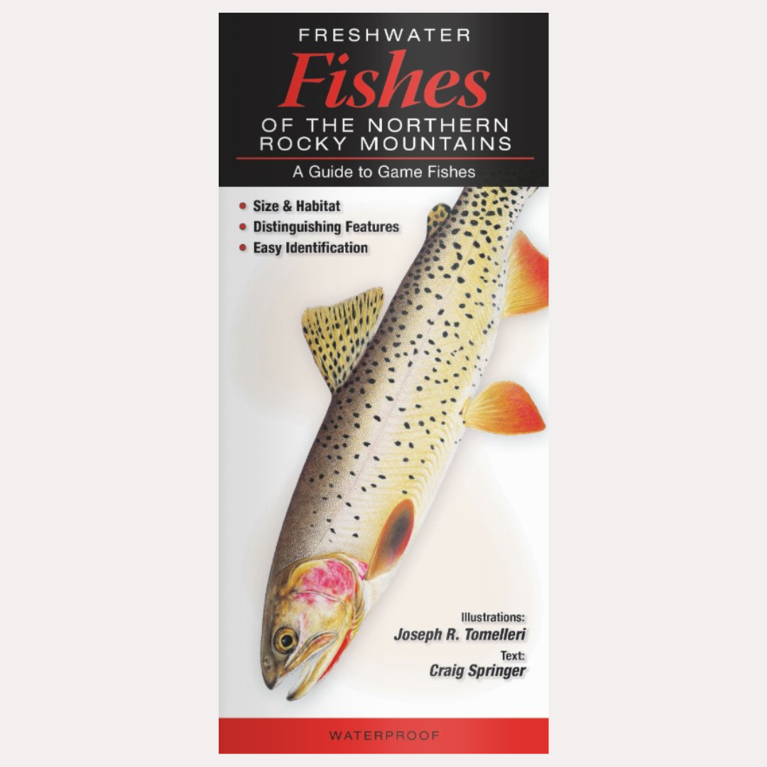Quick Guide - Freshwater Fishes of the Northern Rocky Mountains