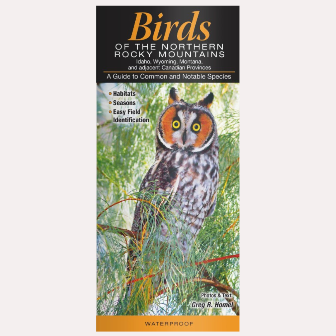 Quick Guide - Birds of the Northern Rocky Mountains