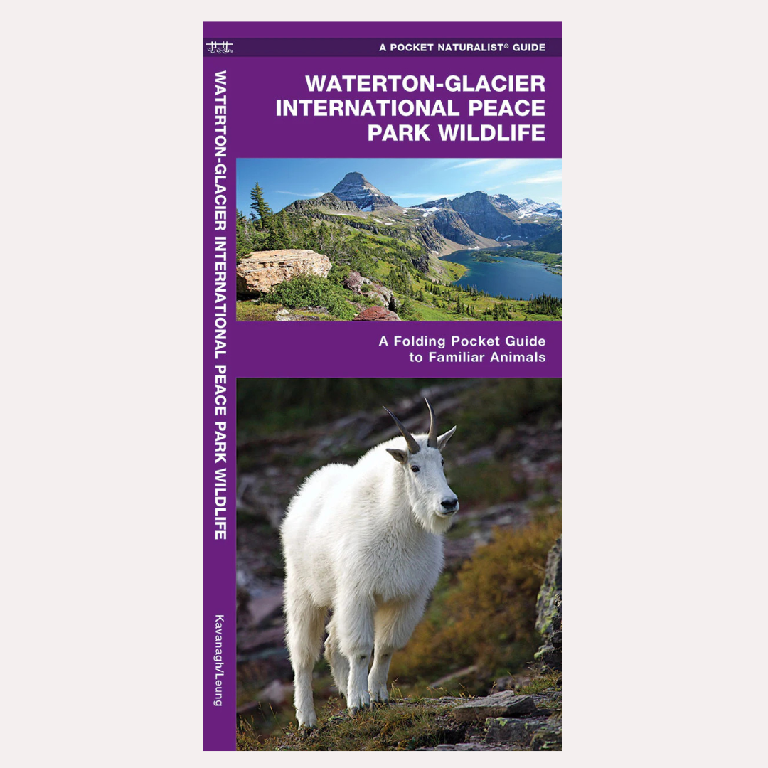 Pocket Guide: Waterton-Glacier International Peace Park Wildlife