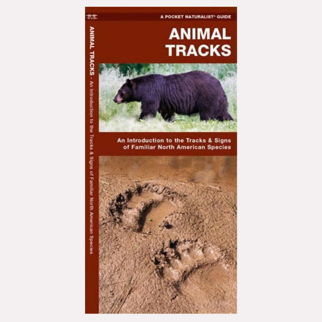 Pocket Guide: Animal Tracks