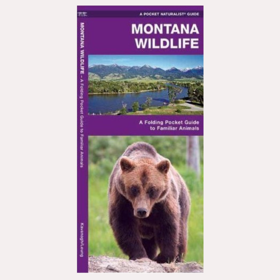 Pocket Guide: Montana Wildlife