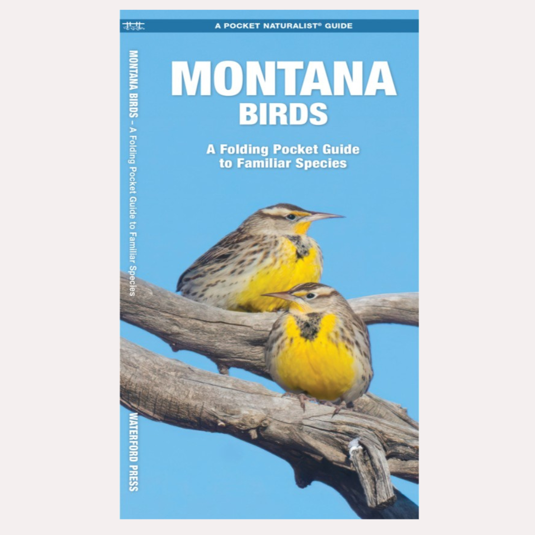 Pocket Guide: Montana Birds