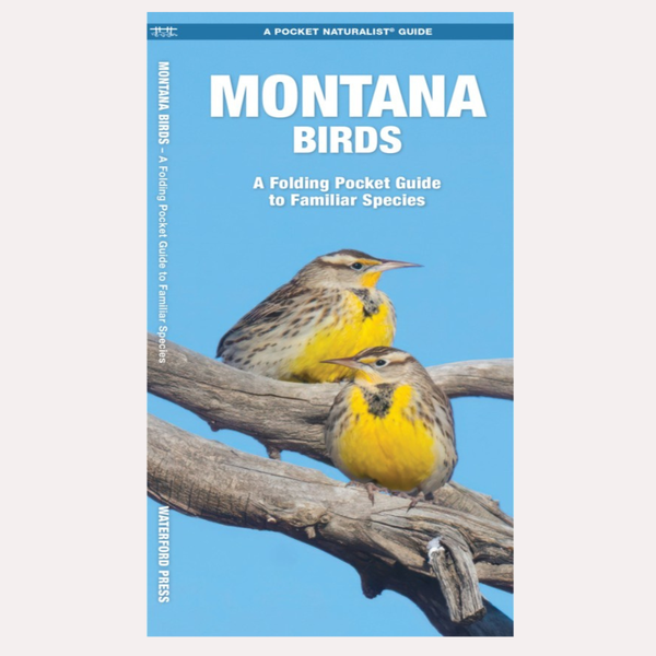 Pocket Guide: Montana Birds