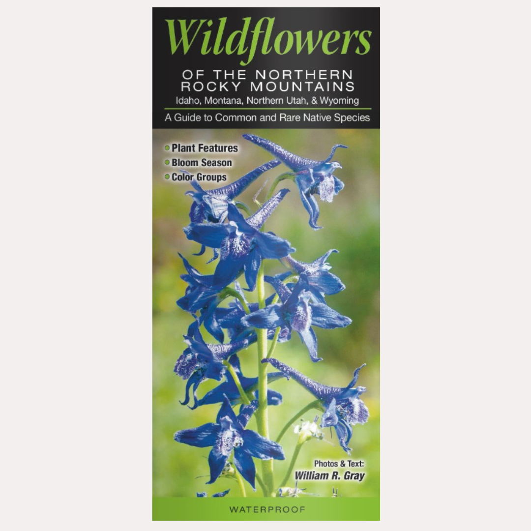 Quick Guide - Wildflowers of the Northern Rocky Mountains