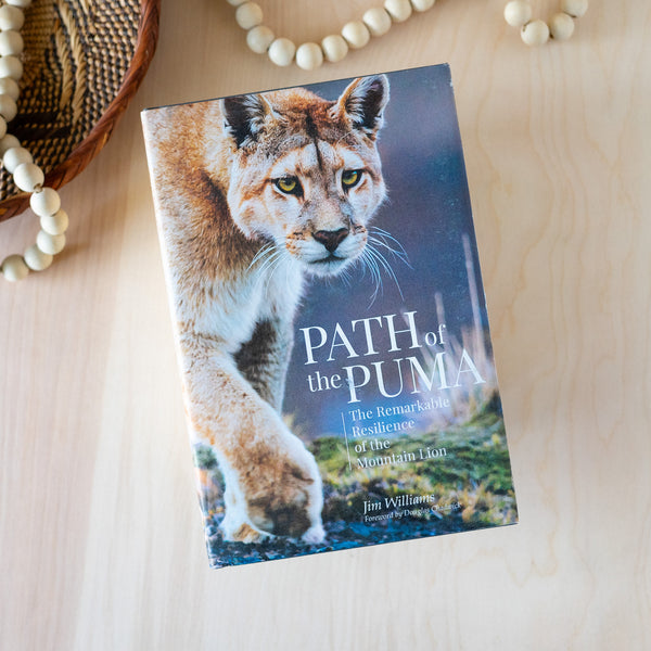 Path of the Puma
