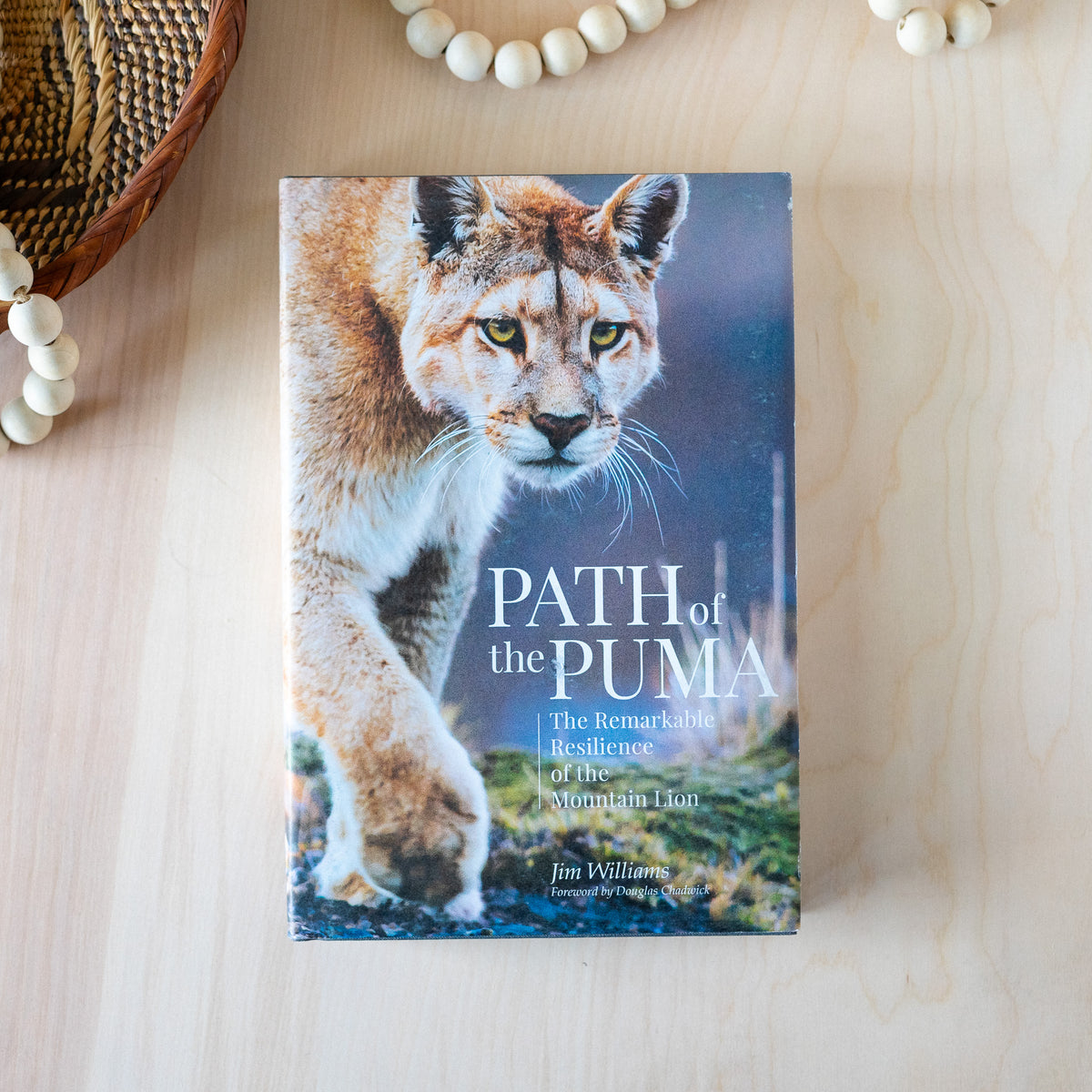 Path of the Puma